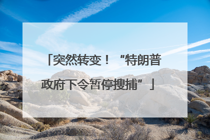 突然转变！“特朗普政府下令暂停搜捕”