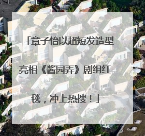 章子怡以超短发造型亮相《酱园弄》剧组红毯，冲上热搜！