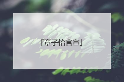 章子怡官宣