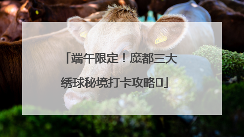 端午限定！魔都三大绣球秘境打卡攻略✨