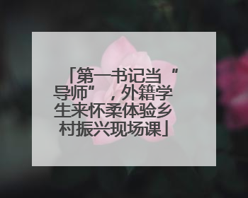 第一书记当“导师”，外籍学生来怀柔体验乡村振兴现场课