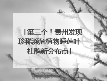 第三个！贵州发现珍稀濒危植物睡莲叶杜鹃新分布点