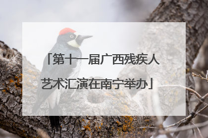 第十一届广西残疾人艺术汇演在南宁举办