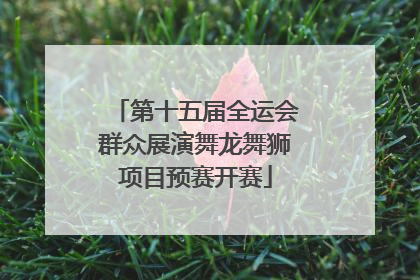 第十五届全运会群众展演舞龙舞狮项目预赛开赛