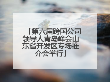 第六届跨国公司领导人青岛峰会山东省开发区专场推介会举行