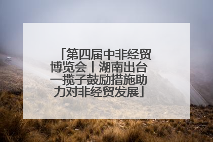 第四届中非经贸博览会丨湖南出台一揽子鼓励措施助力对非经贸发展