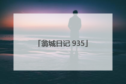 翁城日记 935