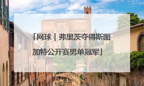 网球｜弗里茨夺得斯图加特公开赛男单冠军