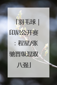 羽毛球｜印尼公开赛：程星/张驰晋级混双八强
