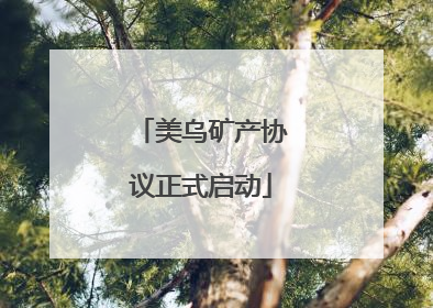 美乌矿产协议正式启动
