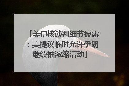 美伊核谈判细节披露：美提议临时允许伊朗继续铀浓缩活动