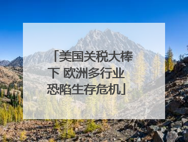 美国关税大棒下 欧洲多行业恐陷生存危机