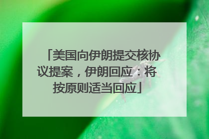 美国向伊朗提交核协议提案，伊朗回应：将按原则适当回应