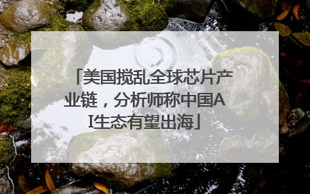 美国搅乱全球芯片产业链，分析师称中国AI生态有望出海