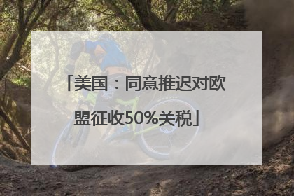 美国：同意推迟对欧盟征收50%关税