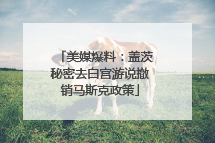 美媒爆料：盖茨秘密去白宫游说撤销马斯克政策