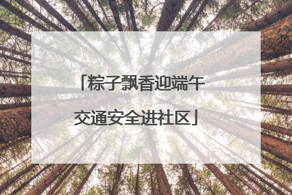 粽子飘香迎端午 交通安全进社区