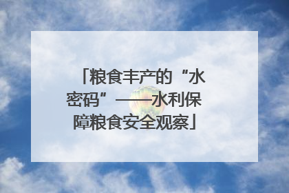 粮食丰产的“水密码”——水利保障粮食安全观察