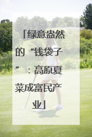 绿意盎然的“钱袋子”：高原夏菜成富民产业