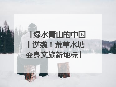 绿水青山的中国丨逆袭！荒草水塘变身文旅新地标