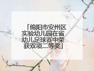 绵阳市安州区实验幼儿园在省幼儿足球赛中荣获双项二等奖