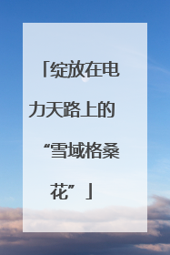 绽放在电力天路上的“雪域格桑花”