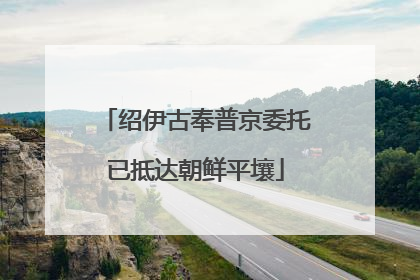 绍伊古奉普京委托已抵达朝鲜平壤