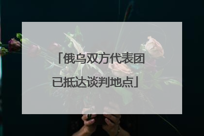 俄乌双方代表团已抵达谈判地点