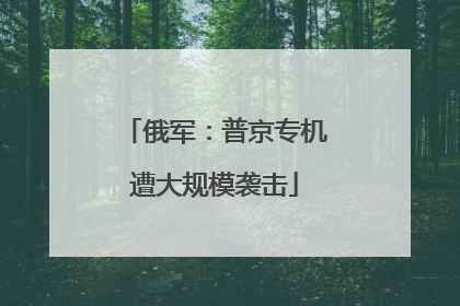 俄军：普京专机遭大规模袭击