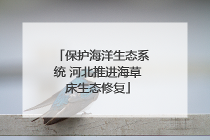 保护海洋生态系统 河北推进海草床生态修复