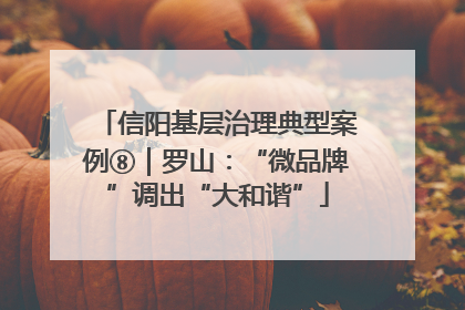信阳基层治理典型案例⑧｜罗山：“微品牌”调出“大和谐”
