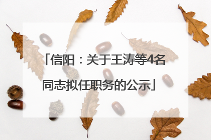 信阳：关于王涛等4名同志拟任职务的公示