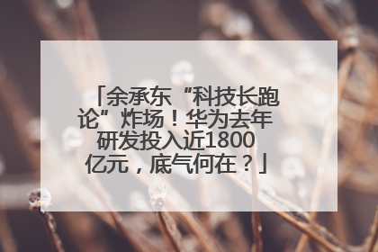 余承东“科技长跑论”炸场！华为去年研发投入近1800亿元，底气何在？