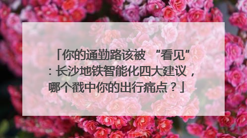 你的通勤路该被 “看见”：长沙地铁智能化四大建议，哪个戳中你的出行痛点？