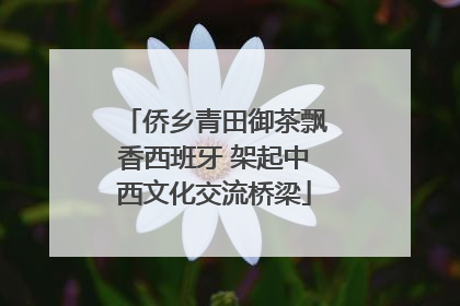 侨乡青田御茶飘香西班牙 架起中西文化交流桥梁