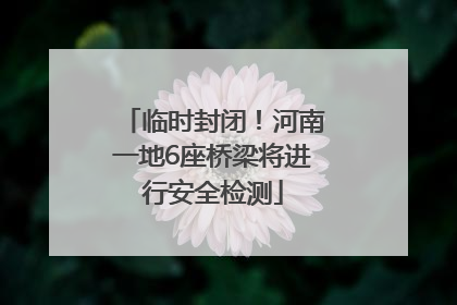 临时封闭！河南一地6座桥梁将进行安全检测