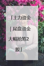主力资金｜尾盘资金大幅抢筹2股