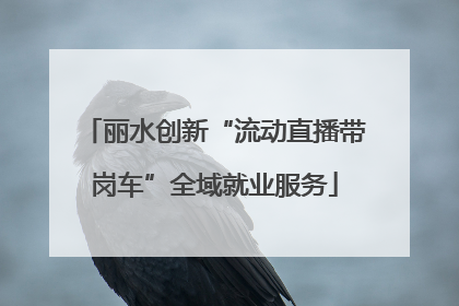 丽水创新“流动直播带岗车”全域就业服务