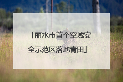 丽水市首个空域安全示范区落地青田