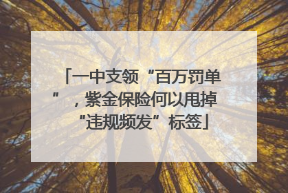 一中支领“百万罚单”，紫金保险何以甩掉“违规频发”标签