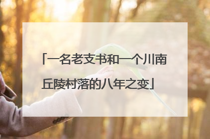 一名老支书和一个川南丘陵村落的八年之变