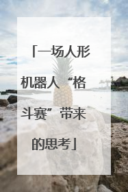 一场人形机器人“格斗赛”带来的思考
