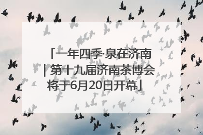 一年四季·泉在济南｜第十九届济南茶博会将于6月20日开幕
