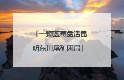 一颗蓝莓盘活昆明东川尾矿困局