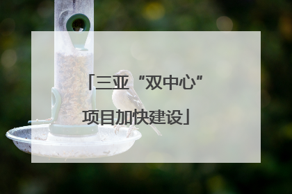 三亚“双中心”项目加快建设