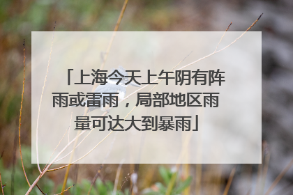 上海今天上午阴有阵雨或雷雨，局部地区雨量可达大到暴雨