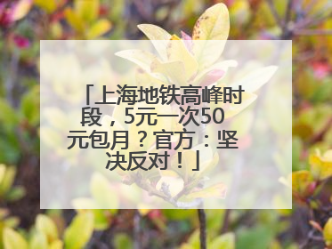 上海地铁高峰时段，5元一次50元包月？官方：坚决反对！