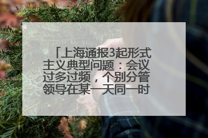 上海通报3起形式主义典型问题：会议过多过频，个别分管领导在某一天同一时段需参加3个会议