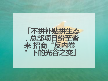 不拼补贴拼生态，总部项目纷至沓来 招商“反内卷”下的光谷之变