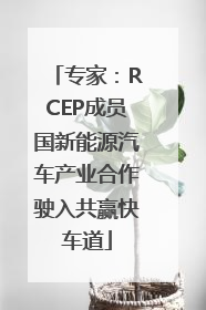 专家：RCEP成员国新能源汽车产业合作驶入共赢快车道
